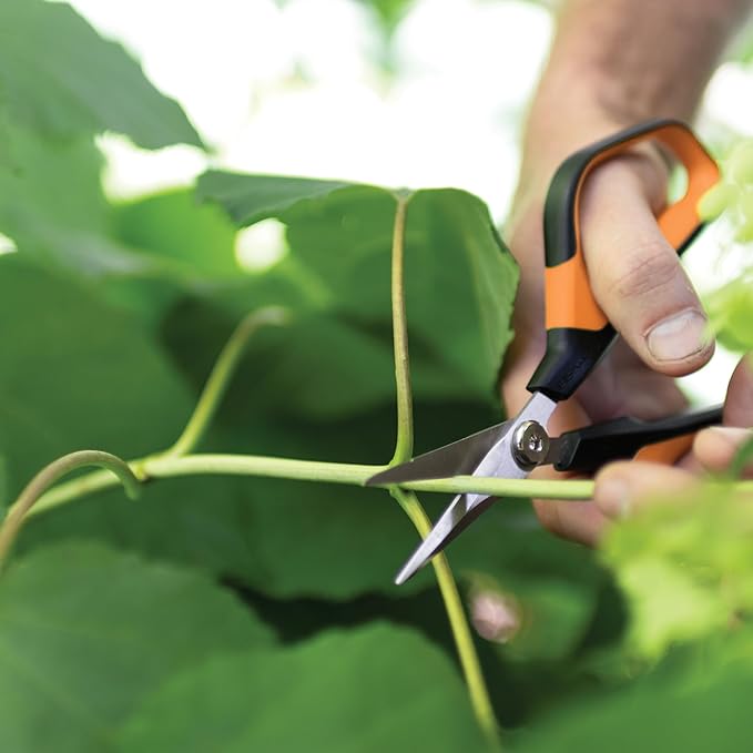 Fiskars Comfort Loop Micro-Tip Pruning Snips - 7" Garden Shears with Sheath and Extra Large SoftGrip Handle - Yard and Garden Tools - Orange/Black