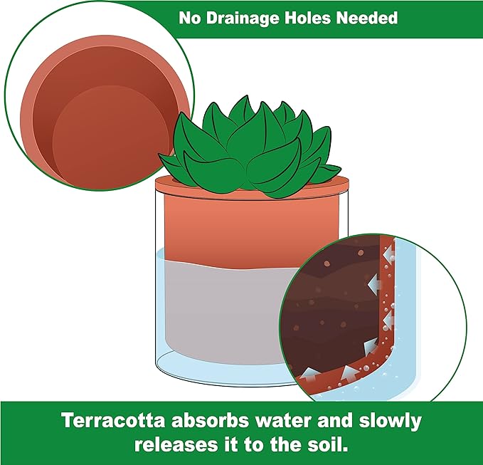 Phoenix Vine 4 Inch Self Watering Plants Pot, Design Terracotta Pot for Plants, Indoor Cylinder Terra Cotta Planter with Glass Vase, Set of 1, 51-A-E-1