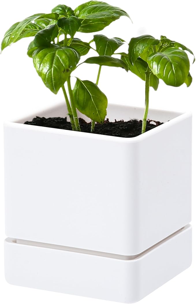 4 Inch Herb Planter Pot, Plastic Planter with Drainage Holes and Saucer, Modern Decorative Gardening Pot for Indoor Plants, Flowers, Herbs, Succulents, White, Set of 1, 76-Y-A-1