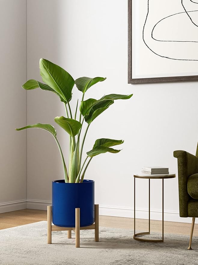 LE TAUCI Ceramic Plant Pots Indoor, 10+8+6 Inch Planters for Indoor Plants, Mid-Century Modern Flower Pots with Drainage Hole and Plug, Cylinder Round Planters, Set of 3, Sapphire Blue
