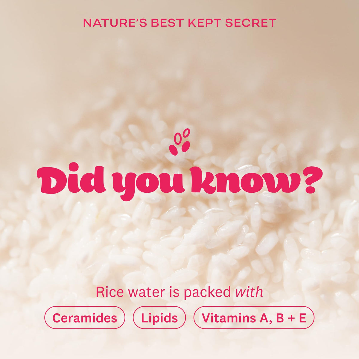 THE FACE SHOP Rice Water Bright Double Cleansing Duo Set