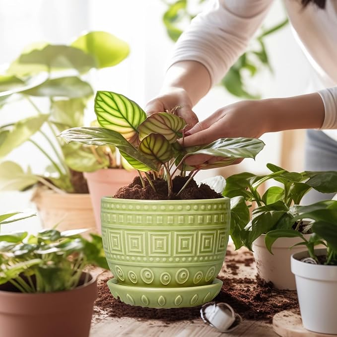 G EPGardening Ceramic Pots for Plants - 5.5 Inch Round Ceramic Planter for Indoor, Boho Succulent Pot with Drainage Hole and Plant Saucer, Gift for Plant Lover, Garden Home Desk Decor, Green