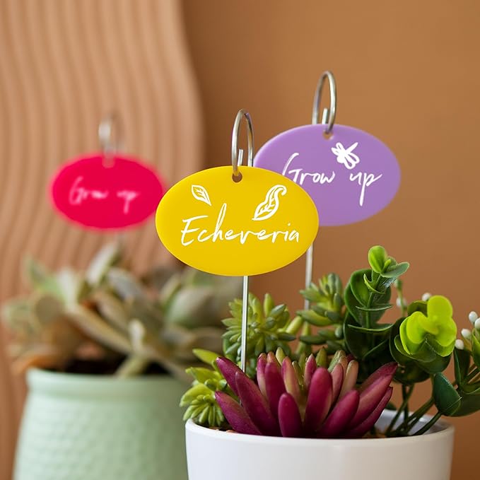 Temlum Plant Labels With Marker Pen, 25 Pcs Garden Markers Label Stakes Sign Tags for Outdoor Plants, Flowers, Herbs, Seed (Multicolor)