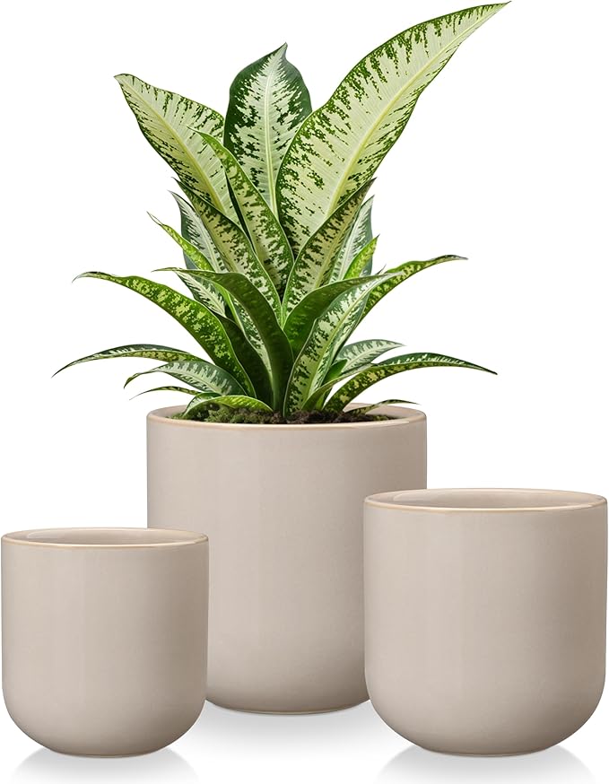 vancasso Ceramic Plant Pots, 4+5+6 inches, Set of 3, Planters with Drainage Hole, Flower Pots Planters Pots for Indoor Plants, Modern Indoor Decorative Garden Pot, Home Decor, Gray