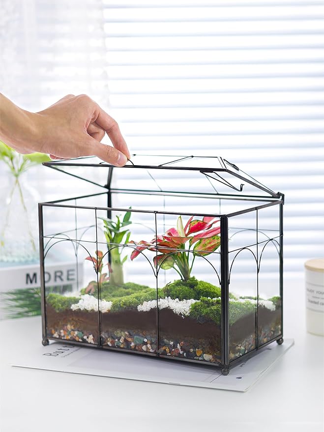 Handmade Glass Planter Terrarium with Lid, Indoor Tabletop Centerpiece Display Box Modern Decor DIY Gift Plant Terrarium Container for Succulent Cacti Air Plants Flower (Black)