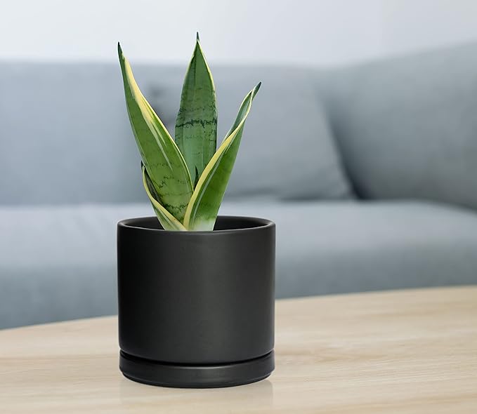 D'vine Dev Set of 4 Small Ceramic Plant Pots, 4.6 Inch Succulent Planter Pot for Plants with Drainage Hole and Saucer, Black, 94-X-B-2