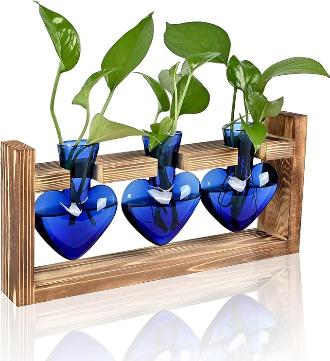 Plant Terrarium Propagation Stations Hydroponics Home Garden Decoration Gift for Women with Wooden Stand Heart Shaped Colored Glass Vase