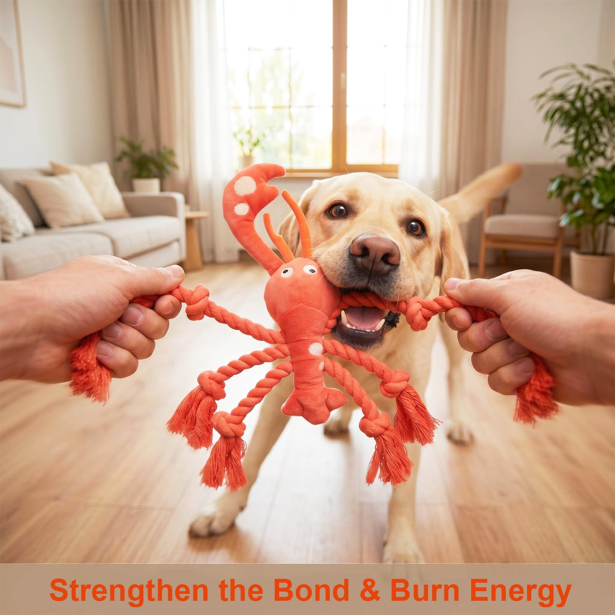Dog Squeak Toys, Plush Lobster Dog Toy with 6 Rope Legs for Tug of War