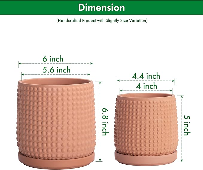 D'vine Dev 6 Inch 4 Inch Terracotta Indoor Planter Pots with Drainage Hole and Saucer, Beaded Design Flower Pots, Set of 2, Terracotta Color, 27-D-U-7