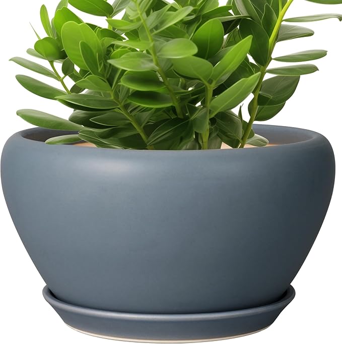 Ceramic Plant Pot - 11 Inch Planter for Indoor Plants Large Plant Pot with Drainage Hole and Saucer Round Outdoor Planter Modern Flower Pot for Home Decor Gray