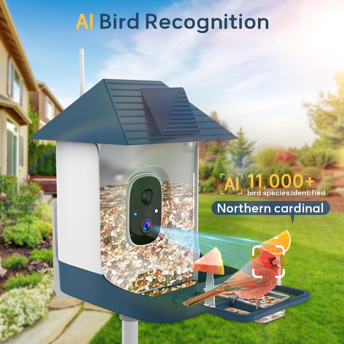 Fazoxo FHD Bird Feeder with Camera,Solar Powered Bird House Camera