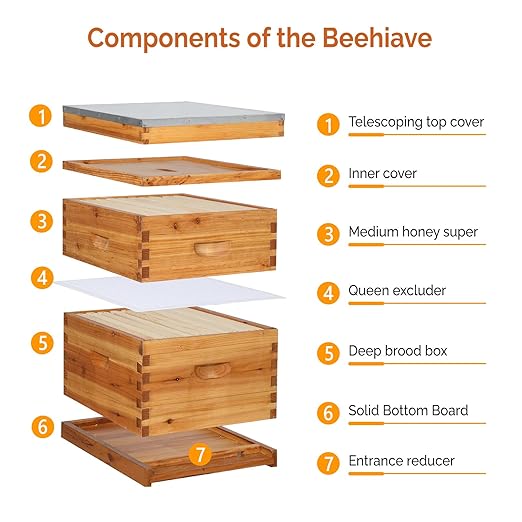 VINGLI 10 Frames Beehive, Complete Beehive Kit Includes 1 Deep Boxes, 1 Medium Box, Frames and Waxed Foundations, for Yard, Field, Bee Farm (2 Layer)