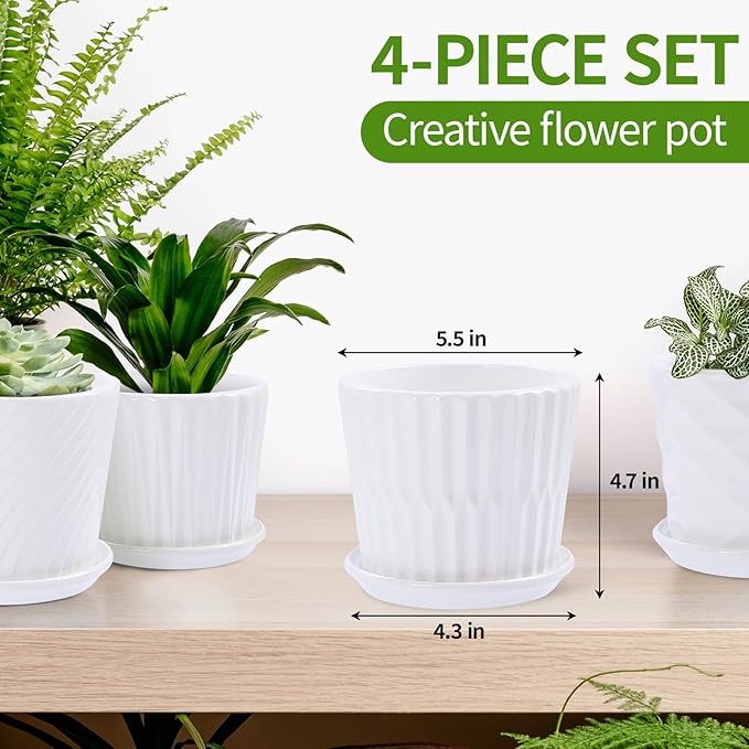 Plant Pots - 5.5 Inch Cylinder Ceramic Planters with Connected Saucer, Pots for Succuelnt and Little Snake Plants, Set of 4, White