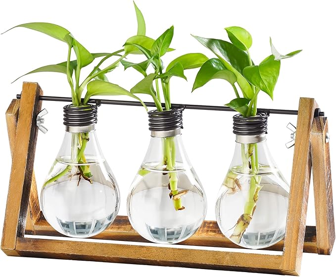 Marbrasse Plant Propagation Stations with Wooden Stand, Desktop Plant Terrarium Holder Bulb Vase, Glass Vase Container with Metal Swivel Holder for Hydroponics of Home Garden Office Decor Lover Gifts