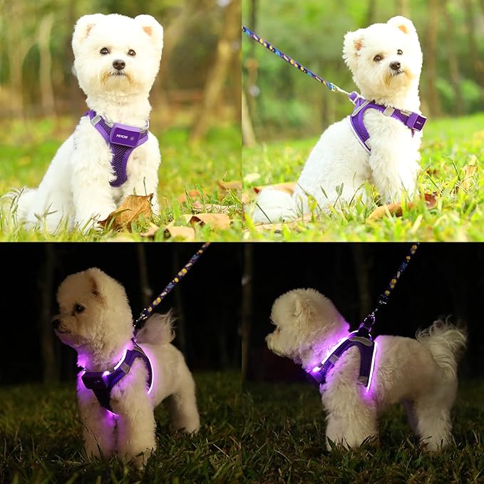 Light Up Dog Harness,Rechargeable LED Dog Harness for Small Medium Large Dogs,Reflective Lighted Safety Vest for Night Walking & Camping,Lightweight & Adjustable,Purple,M