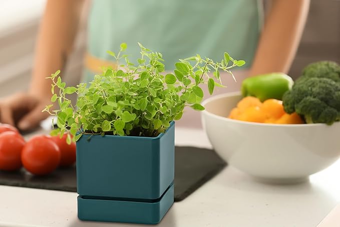 4 Inch Herb Planter Pot, Plastic Planter with Drainage Holes and Saucer, Modern Decorative Gardening Pot for Indoor Plants, Flowers, Herbs, Succulents, Green, Set of 2, 76-Y-C-2