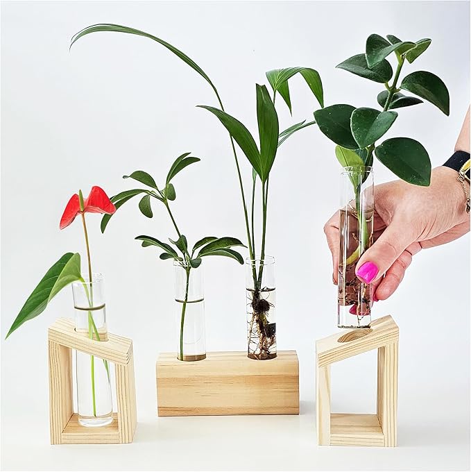 Plant Propagation Station - 3-Piece Wooden Stand with 4 Glass Test Tubes, Terrarium Vases for Plants, Hydroponic Propagation Planter for Home office Decor, Plant Lover Gift.