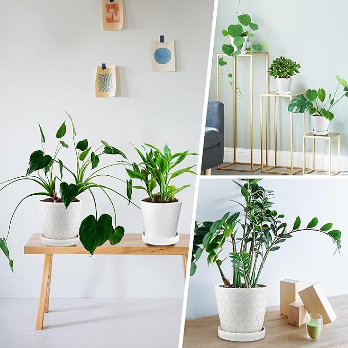 Ceramic Plant Pots,4+5+6 Inch Pots for Indoor Plants,Planters with Drainage Holes and Ceramic Tray, Indoor Flower Pots Gardening Home Desktop Office Windowsill Decoration Gift,Set of 3 (White)