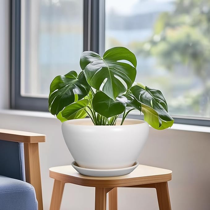 Ceramic Planter - 9 Inch Plant Pot Indoor with Drainage Hole and Saucer for Outdoor Plants Mid-Century Round Planter Modern Flower Pot for House Garden White