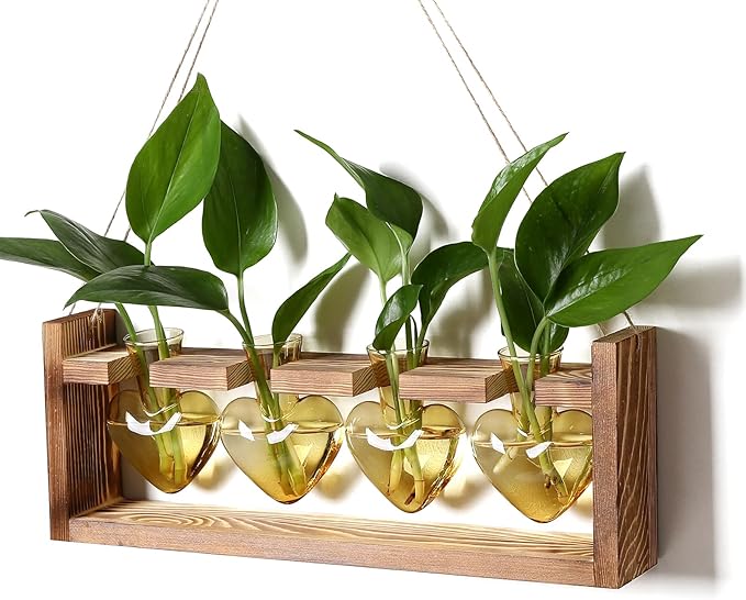 Plant Propagation Stations Heart Plant Terrarium Kit Gift for Women Plant Lover Glass Vases