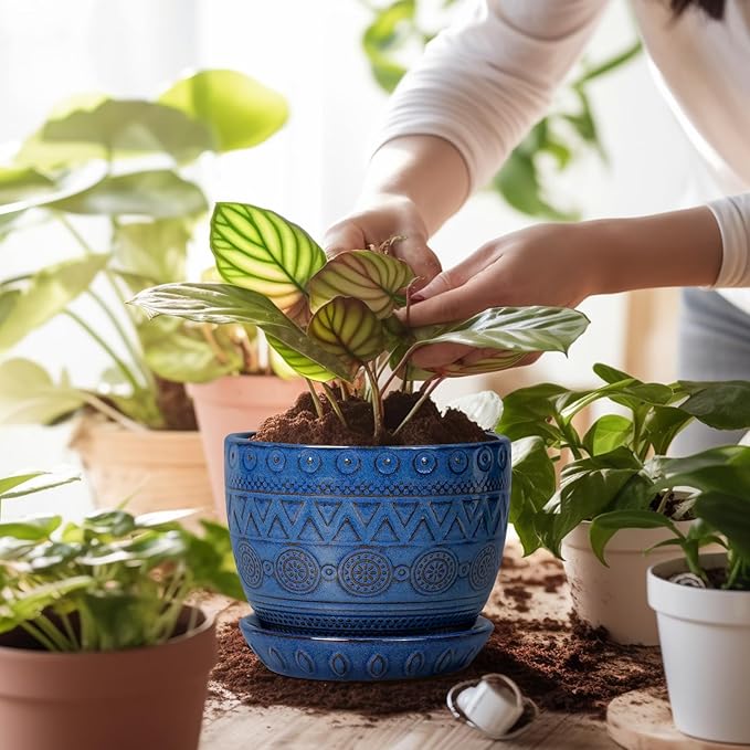 G EPGardening Pot for Plants 5 Inch - Ceramic Planter for Indoor Plants Outdoor, Succulent Pot with Drainage Hole and Saucer, Modern Home Garden Decor, Blue