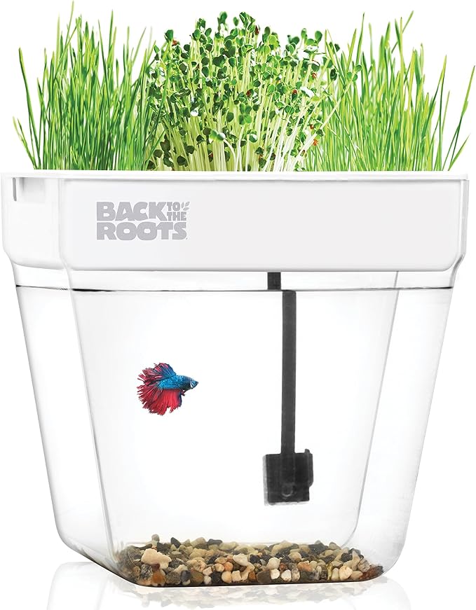 Back to the Roots Indoor Aquaponic Garden - 3 Gallon Self Watering, Mess-Free Planter and Self-Cleaning Fishtank for Herbs, Microgreens, Bamboo, Succulents, and Houseplants, support Fish