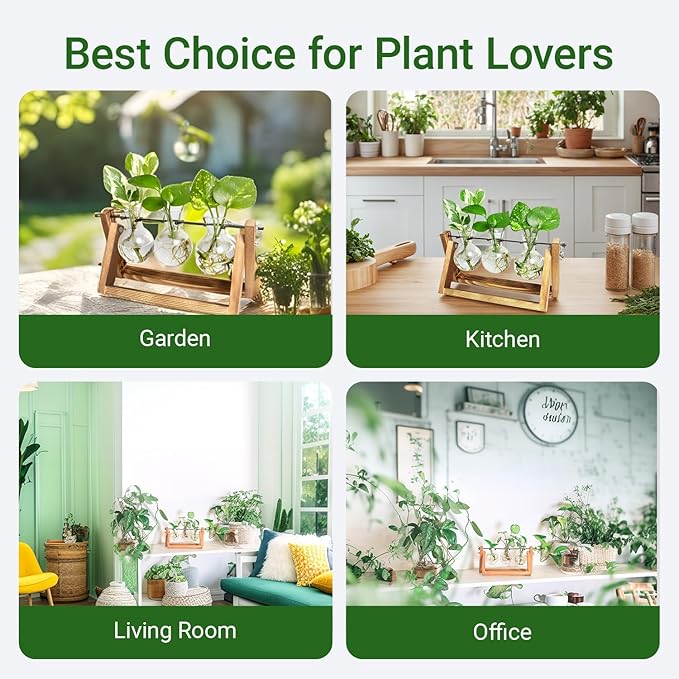 Ivolador I Plant Propagation Station, Bulb Plant Terrarium with Wooden Stand, Unique Gardening Gifts for Women, Hydroponic Indoor Planter, Home Office Garden Wedding Decor - 3 Bulb Glass Vases
