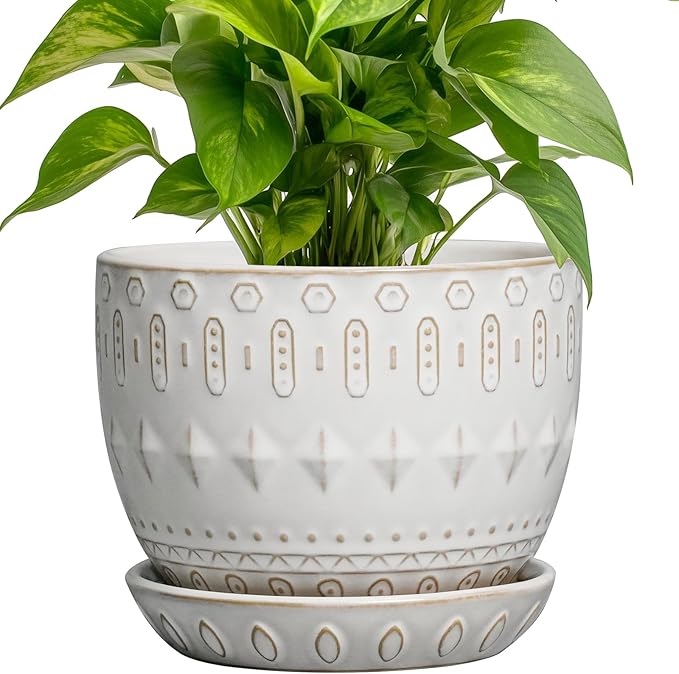 G EPGardening Ceramic Plant Pot - Succulent Pots with Drainage Hole and Saucer 5 Inch Planter for Indoor Plants Outdoor Decorative Round Flower Pot White