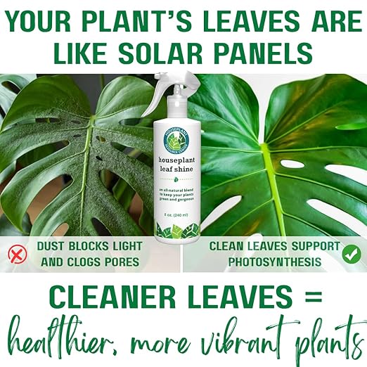 Houseplant Leaf Shine Spray – All-Natural Leaf Cleaner and Gloss for Healthy Shine & Better Photosynthesis | Perfect for House Plants and Foliage | 8 oz