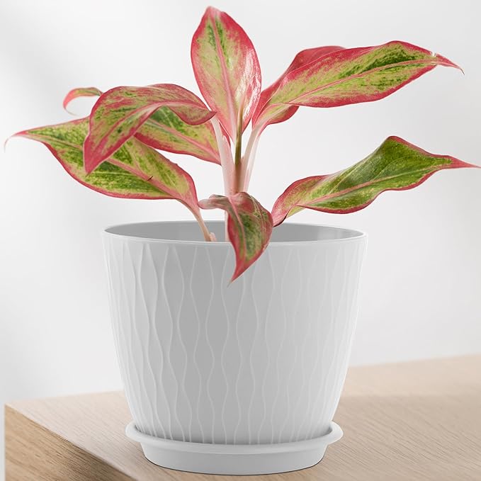 Plant Pots – 6 Inch Planters with Drainage Holes and Saucers, Flower Pots for Indoor and Outdoor Plants, Nursery Planting Pots (Pack of 5, White)