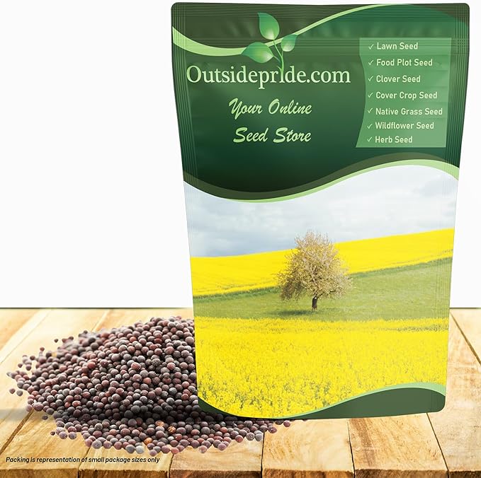 Outsidepride White Mustard Seeds for Planting - 50 lb Annual Cover Crop Seeds w/Deep Root System, High Protein Forage, Ideal for Soil Fertility, Crop Rotations, & Livestock Nutrition