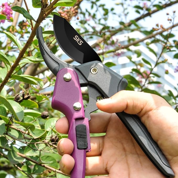 Garden clippers, premium Germany pruners, Work 3 times easier, professional pruning shears, cutting rose, flower, hedge, stem, tree, Sharp gardening scissors, Arthritis weak hand snips (Japanese-2, 1)