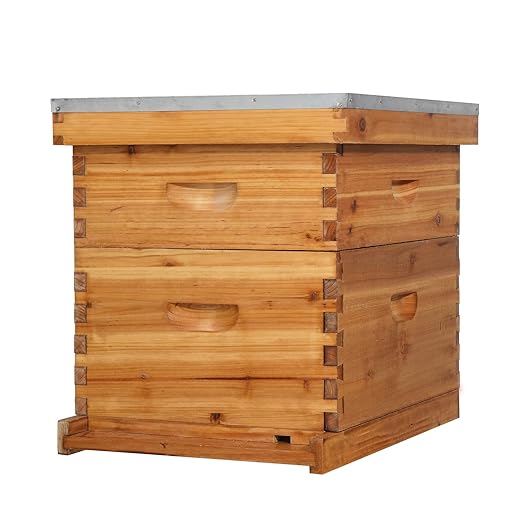VINGLI 10 Frames Beehive, Complete Beehive Kit Includes 1 Deep Boxes, 1 Medium Box, Frames and Waxed Foundations, for Yard, Field, Bee Farm (2 Layer)