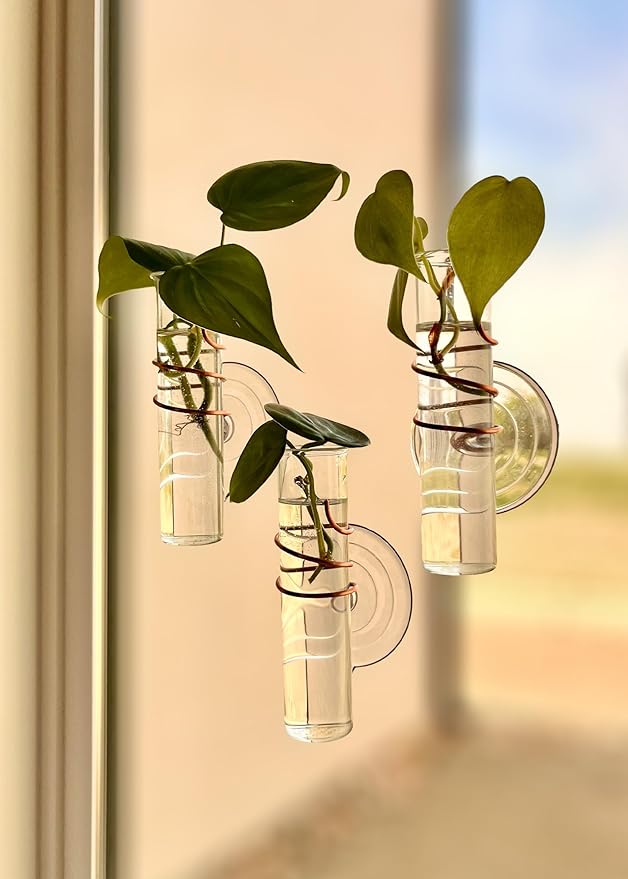 The Little Window Propagator | Window Propagation Station with Removable Glass Tubes, Indoor Plant Clippings, Cut Flowers, Herbs, Succulents | Home Decor | Plant Lover Gift (3)