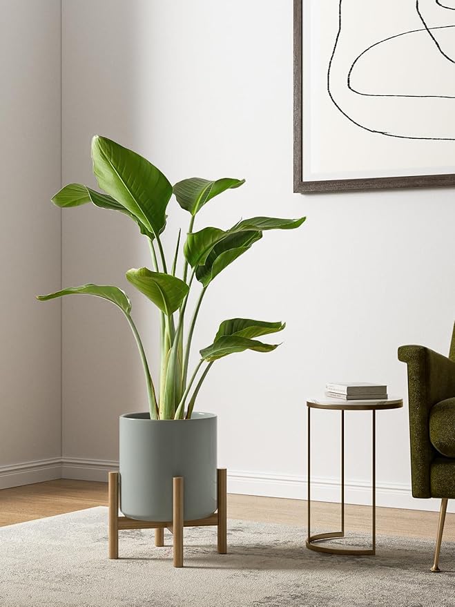LE TAUCI Ceramic Plant Pots Indoor, 10+8+6 Inch Planters for Indoor Plants, Mid-Century Modern Flower Pots with Drainage Hole and Plug, Cylinder Round Planters, Set of 3, Blue Gray