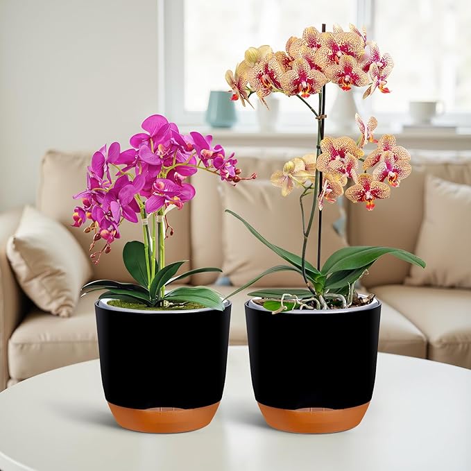 QCQHDU 2 Pack Orchid Pots with Holes for Repotting, Double-Layer and Self Watering Orchid Pot with Good Air Circulation