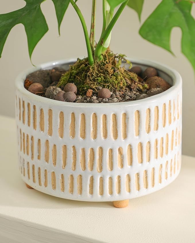 Succulent Pots, 6 Inch Pot for Indoor Plants, Footed Pots for Plants with Drainage, Succulents or Small Plant Indoor Plant Pots, Set of 2