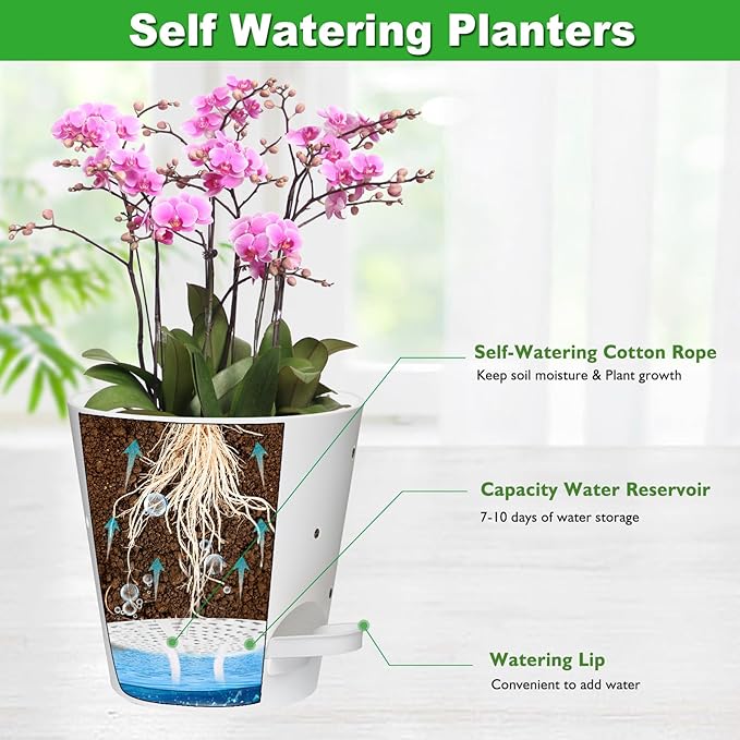 Orchid Pots with Holes, 6 Inch Self Watering Orchid Pot 2 Pack Plastic Plant Pots for Orchid, Flower (White)