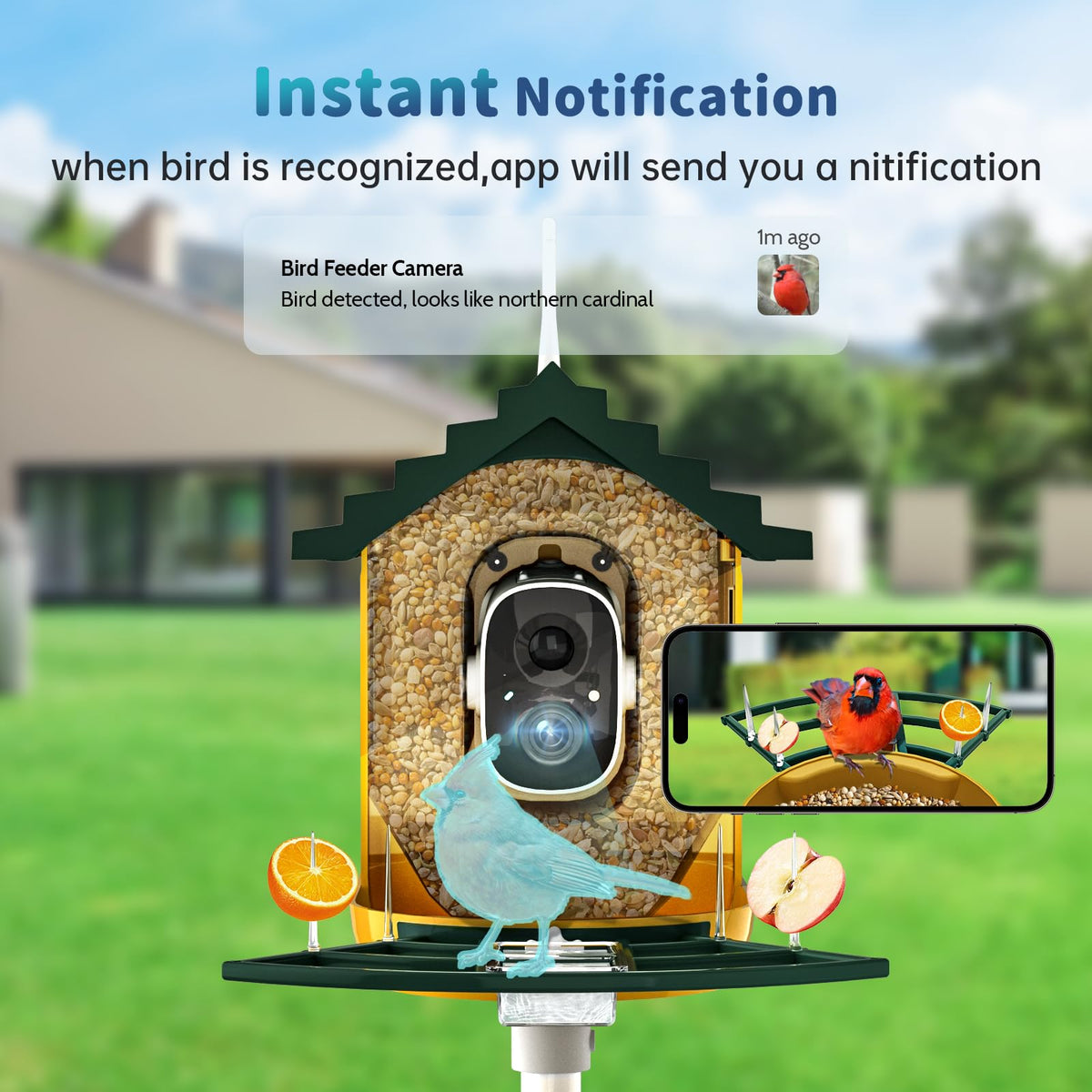 NAVFS Smart Bird Feeder with Camera Solar Powered & AI Bi rd Identification, 2.4Ghz WiFi Bird feeders for Outdoors, 2K Live Video, Instant Arrival Alerts-Green-Yellow