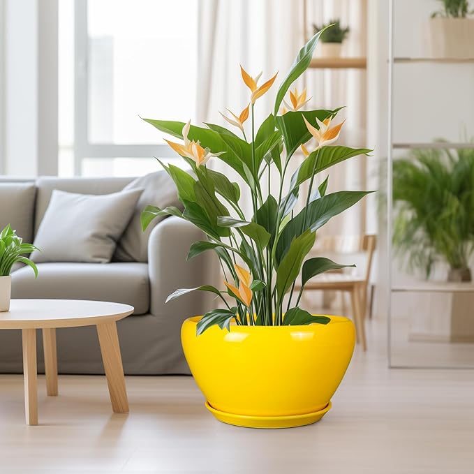 Ceramic Planter for Indoor Plants - 13 Inch Mid-Century Decorative Modern Large Plant Pot with Drainage Hole and Saucer, Home Balcony House Garden Patio Room Office Decor, Yellow