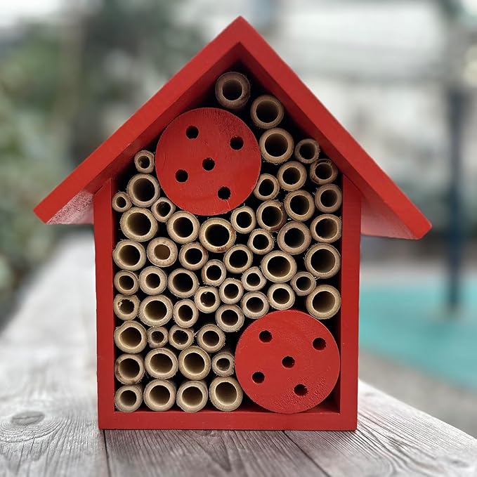 Mason Bee Houses Outdoor Wooden Bee Hotel for Garden and Yard Hand-Made Bamboo Bee Hive for Bees Butterflies and Ladybugs, Medium Size 8"x7.5"x5", Red
