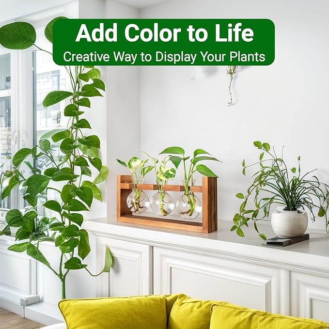 Plant Propagation Station,Plant Terrarium,Plant Starter,Gifts for Plant Lovers,Glass Bulb Terrarium with Retro Solid Wooden Stand for Hydroponics Plants Home Garden Wedding Décor (3 Bulbs)
