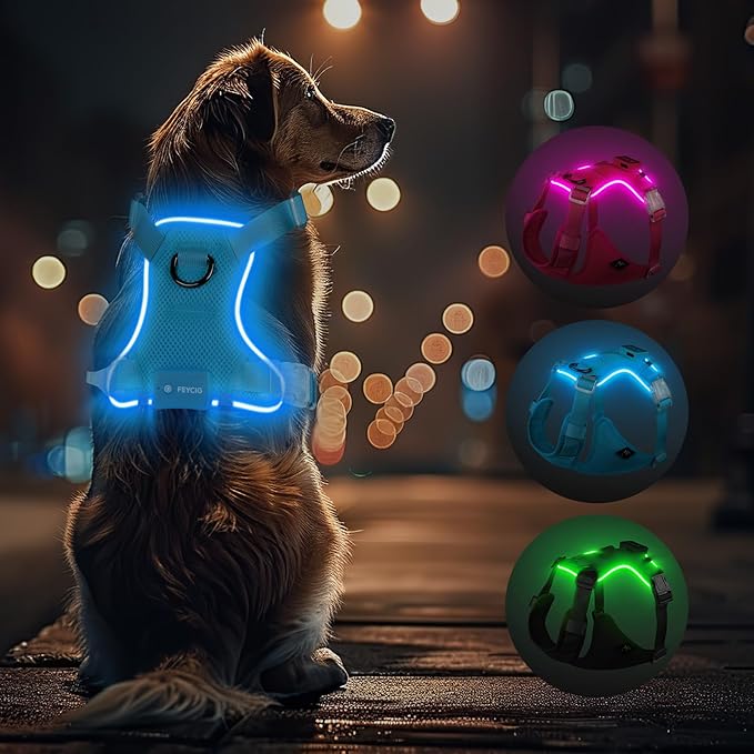 Light Up Dog Harness - Rechargeable LED Reflective Pet Vest for Night Walking - Adjustable No-Pull Safety Harness for Small Medium Large Dogs, Blue, XS
