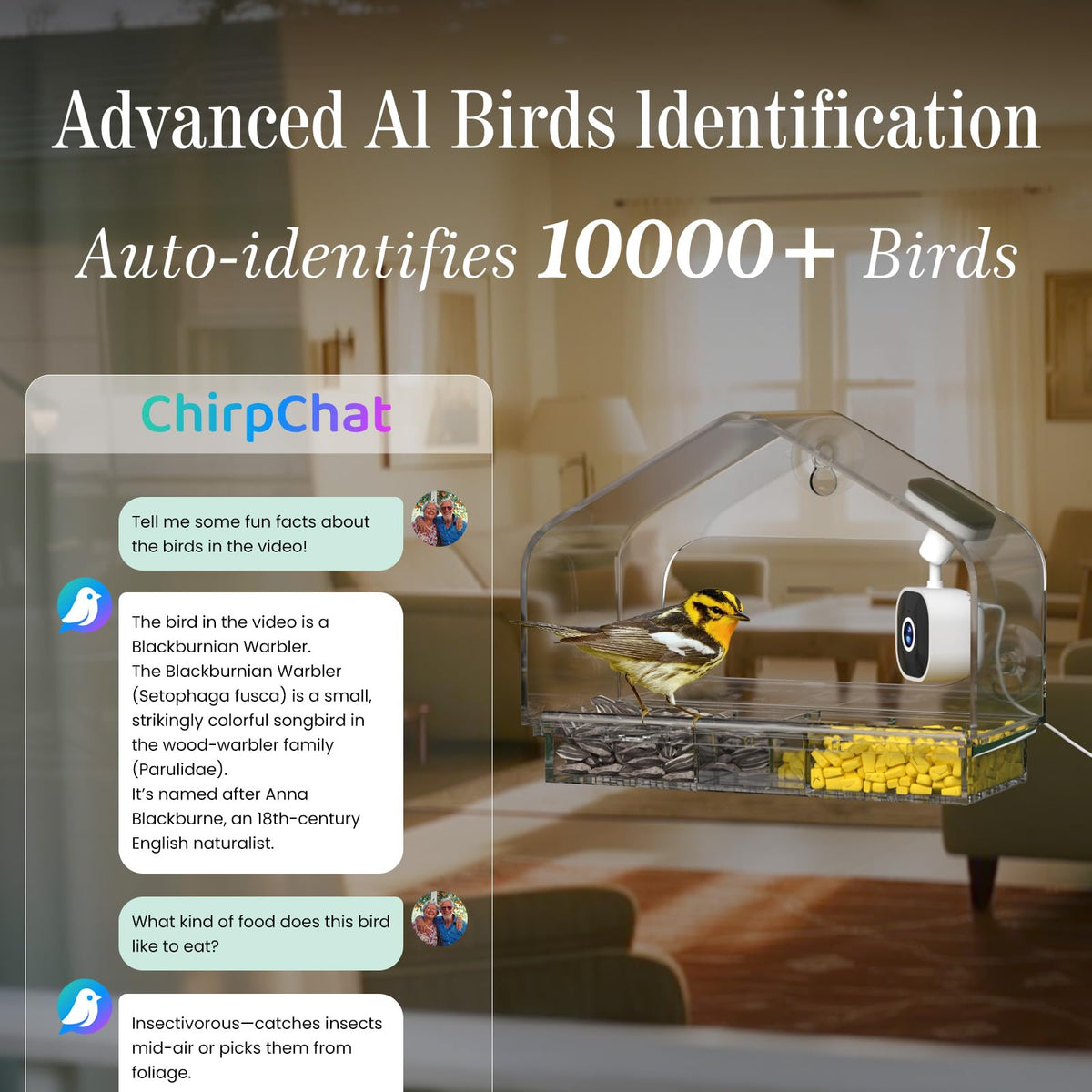 Window Bird Feeder with Strong Suction Cups and Smart Bird Camera