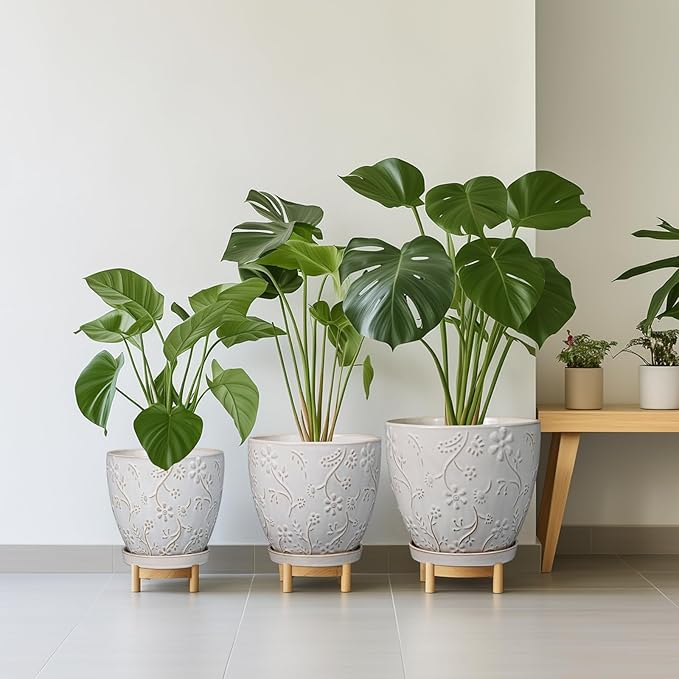 6 Inch Ceramic Plant Pot for Indoor Plants Outdoor Round Planter Flower Pot with Drainage Hole and Saucer for Home Garden Office Decor White