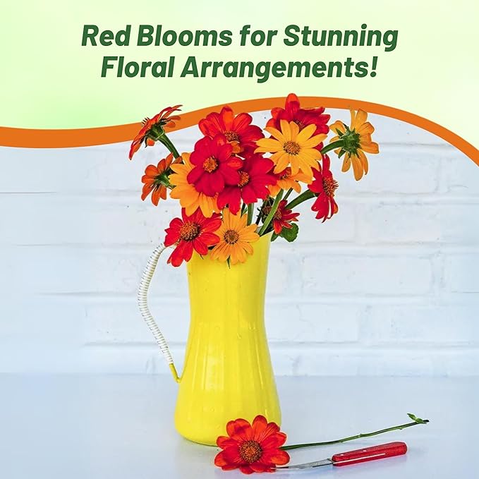 Outsidepride Red Torch Mexican Sunflower Seeds - 1000 Seeds Annual Tithonia, Fast-Growing, Heat & Drought-Tolerant Flower Seeds for Pollinator Gardens, Landscapes, & Flower Arrangements (AAS Winner)