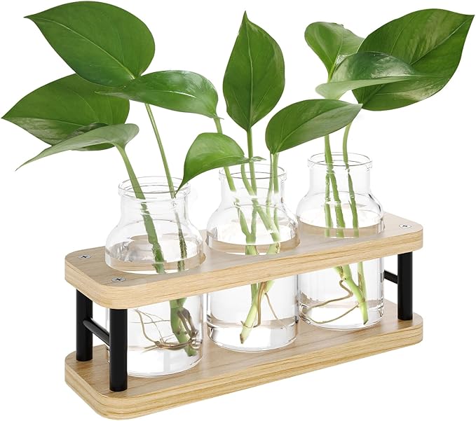 THYGIFTREE Plant Propagation Station with Wooden Stand, Propagation Vases Glass Planters for Indoor Plants Hydroponic Propagating Jars Home Office Decor, Plant Lover Gifts