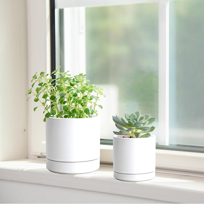 D'vine Dev 3.5 Inch & 4.7 Inch Ceramic Planter Pots for Plants with Drainage Hole and Saucer, X-Small Plant Pots Set, White, 94-G-XS-1