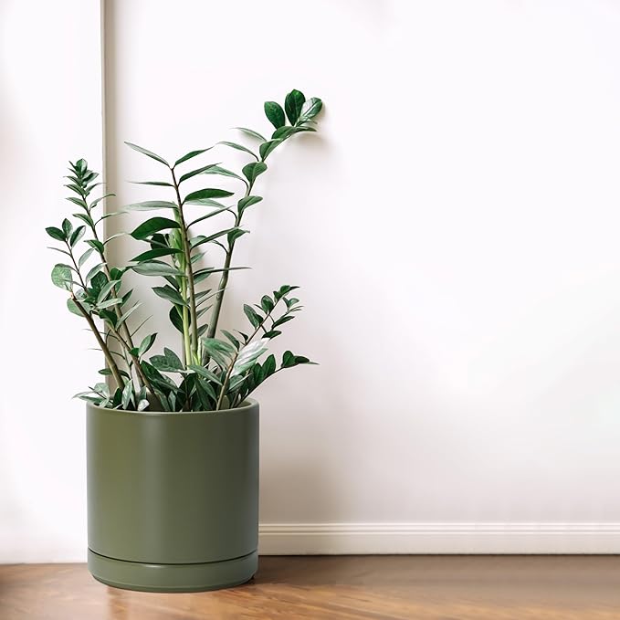 D'vine Dev 8 Inch Ceramic Planter Pot with Drainage Hole and Saucer, Indoor Cylinder Round Planter Pot, Olive, 94-O-D-J