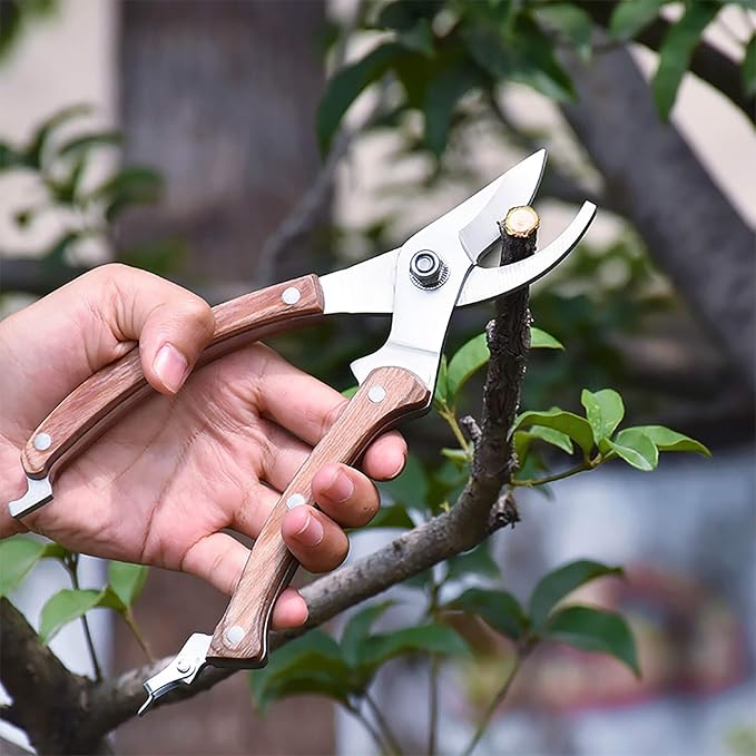 BUGUI 8” Wood Handle Garden Scissors, Set of 2, Includes Bypass Pruning Shears and Long Straight Tip Clippers, Premium Gardening Tools with Precision-Ground SK-5 Steel Blade